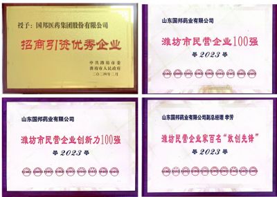 【喜讯】BB电子医药及下属山东BB电子药业喜获2023潍坊招商引资优秀企业、潍坊民营企业100强等多项荣誉