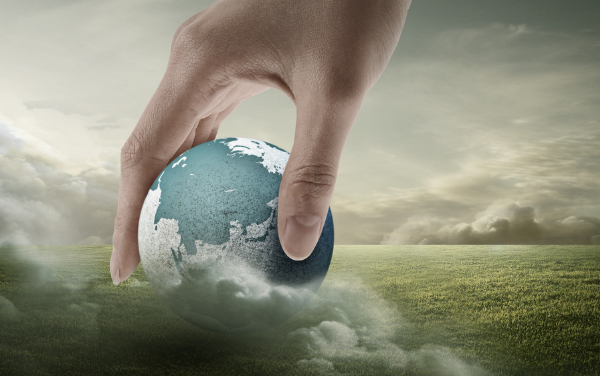 新昌BB电子进出口有限公司